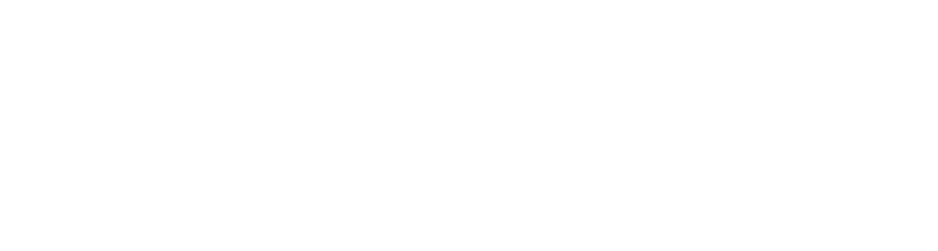 Strider